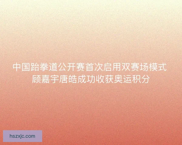 中国跆拳道公开赛首次启用双赛场模式 顾嘉宇唐皓成功收获奥运积分