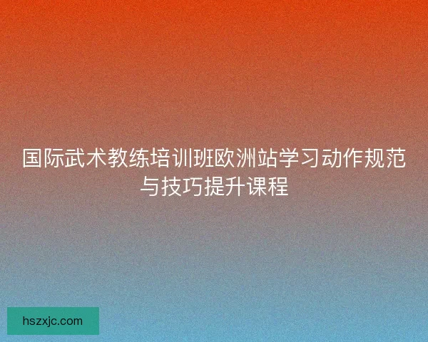 国际武术教练培训班欧洲站学习动作规范与技巧提升课程